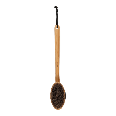 Bath Brush w/handle - Bamboo