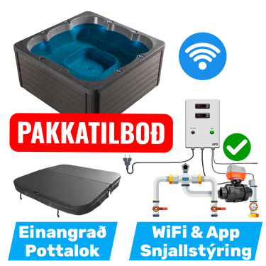 Mini Queen PLUG&PLAY Pakkatilboð